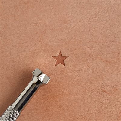 Classic Star Stamp (medium) 053 