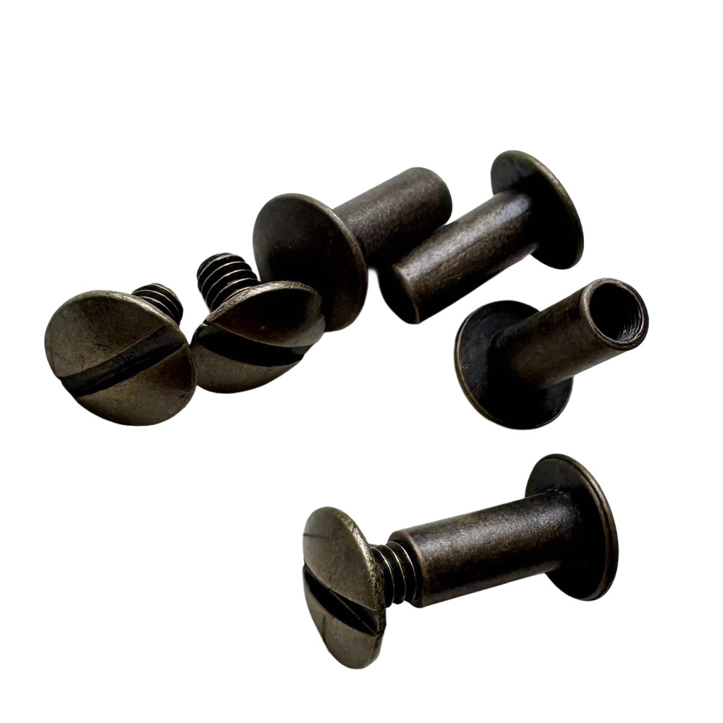 Chicago screw 1/2 antique gold on brass (10)