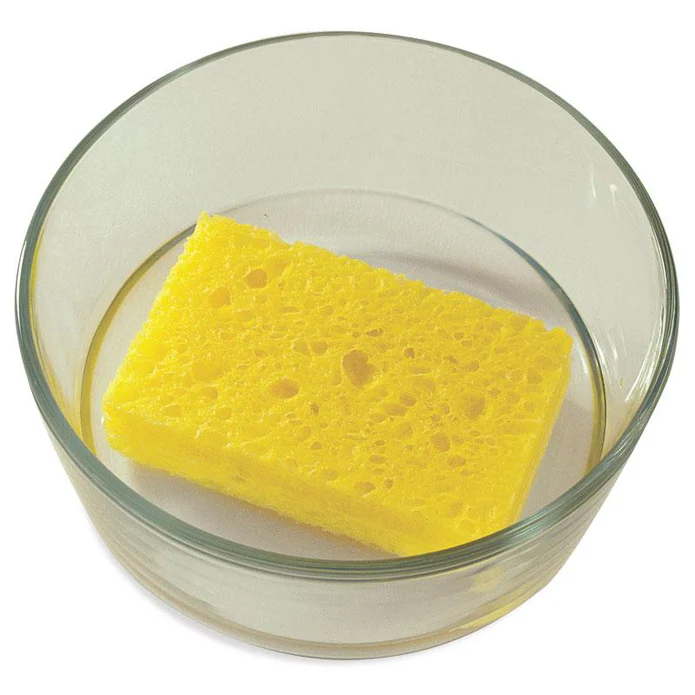 Cellulose sponge by Tandy Leather