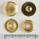 Boutons-pressions plaqué, Tandy Leather.