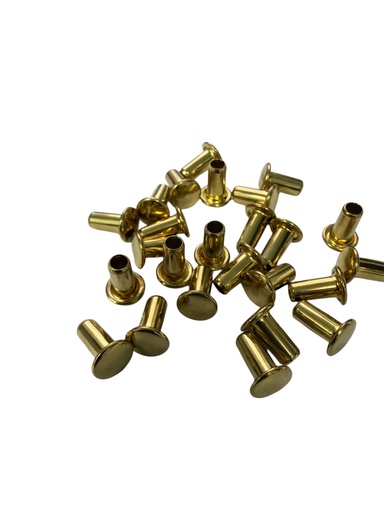 [FIM R2/6G 1]  RIVET AUTO-PERFORANT R 2/6 OR SUR ACIER (1000)