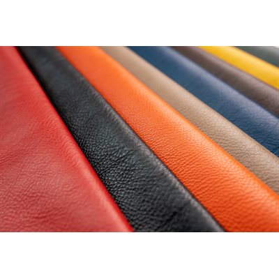 Arizona Leather