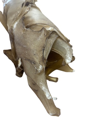 [BBCHEVREUIL] Natural Deer Sinew.